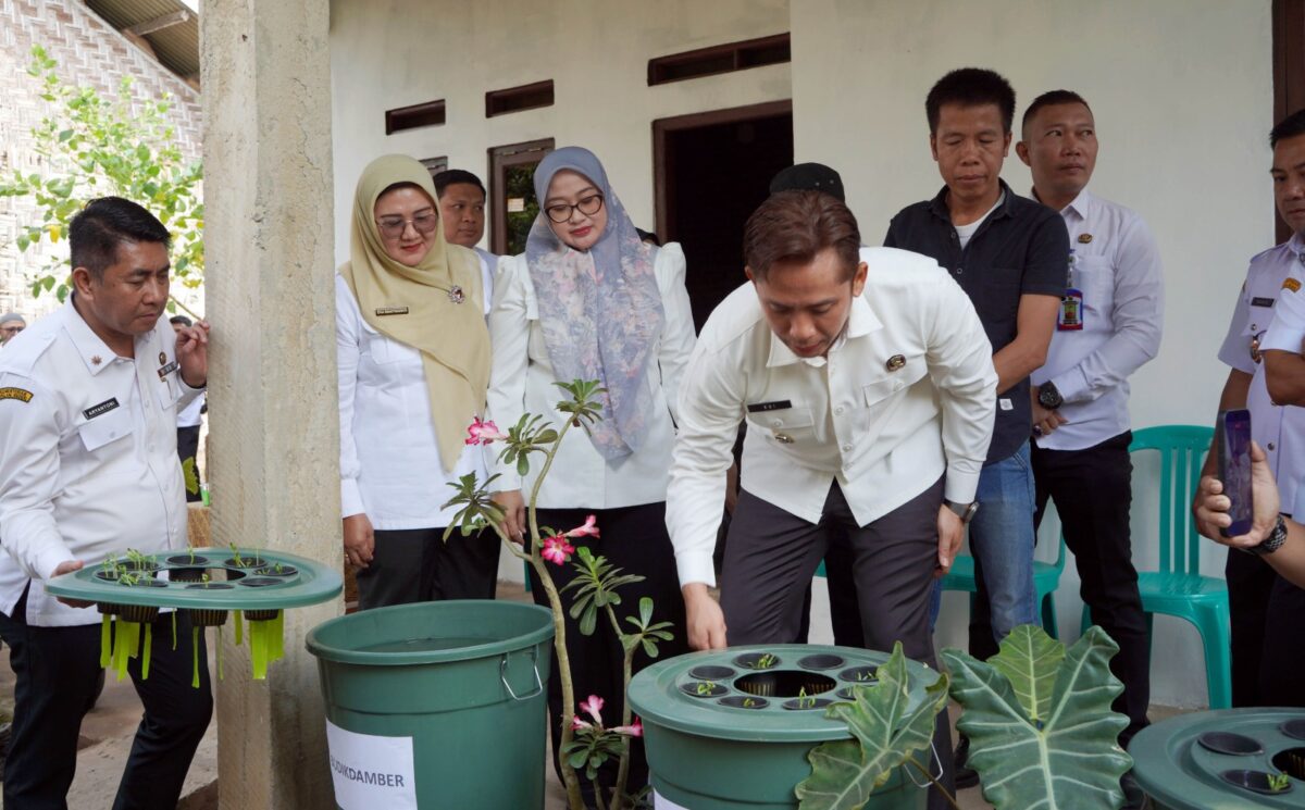 Bupati Lamsel Radityo Egi Pratama meninjau pilot project Program Teras HELAU di Way Urang, Kalianda