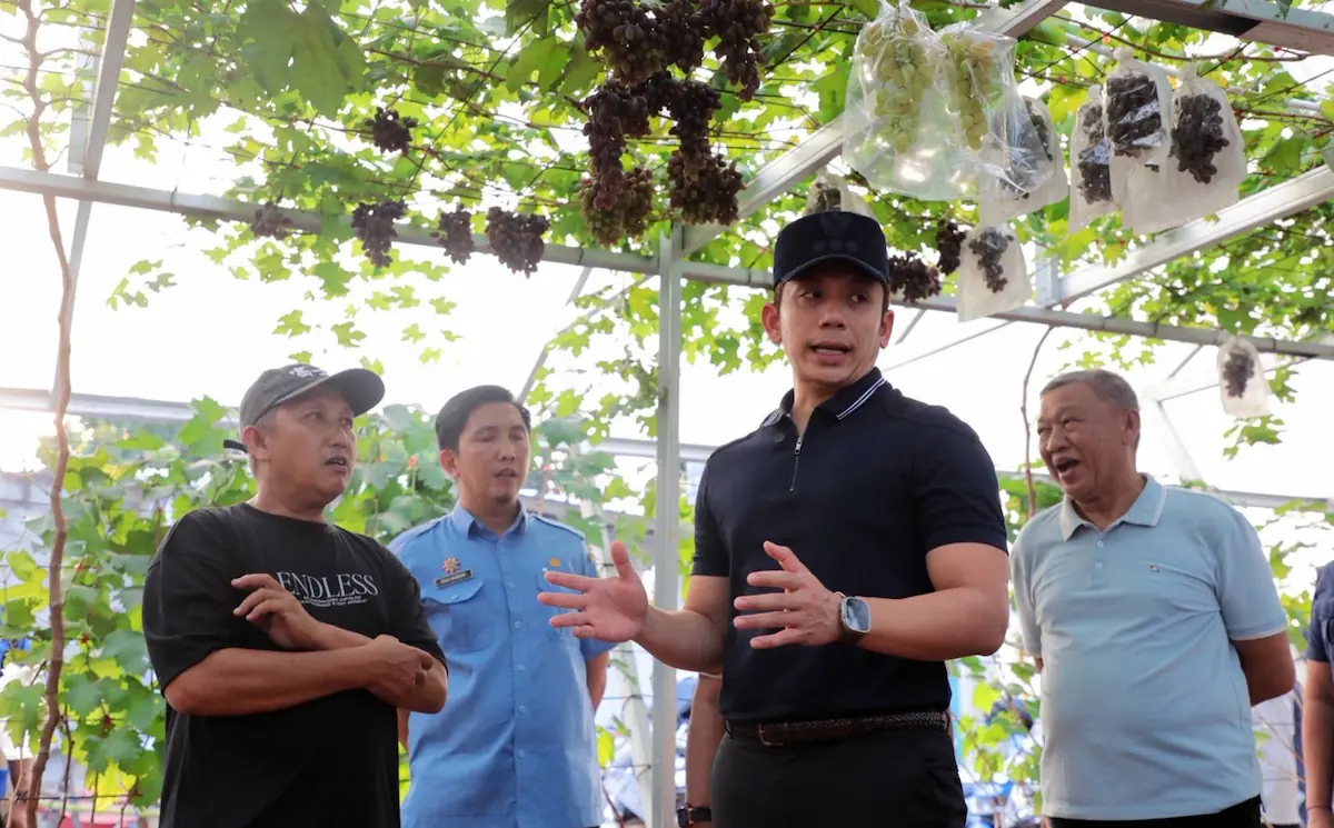 Bupati Lampung Selatan Radityo Egi Pratama meninjau langsung kebun di Dusun Tanjung Waras