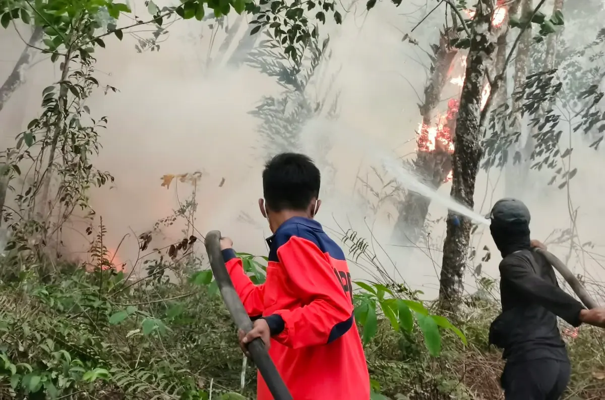 Petugas berwenang memadamkan api di sekitar ruas Gerbang Tol Menggala, wilayah Kagungan Rahayu, Menggala, Tulang Bawang.