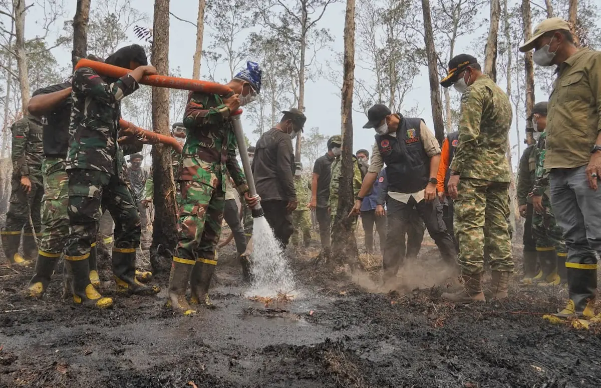 Gubernur Lampung Rahmat Mirzani Djausal bersama Kepala BNPB Kristomei Sianturi meninjau penanganan karhutla di kawasan TNWK, Lampung Timur.