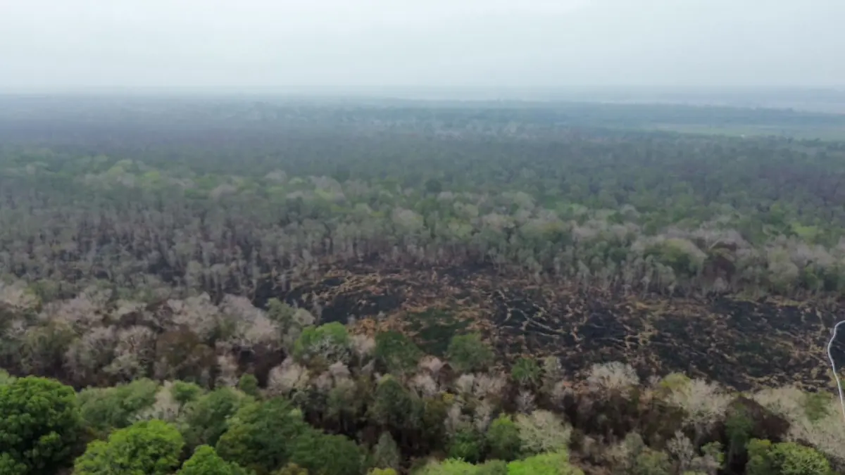 Penanganan kebakaran hutan dan lahan di kawasan Taman Nasional Way Kambas terus berlanjut meski titik api terpantau sudah padam.