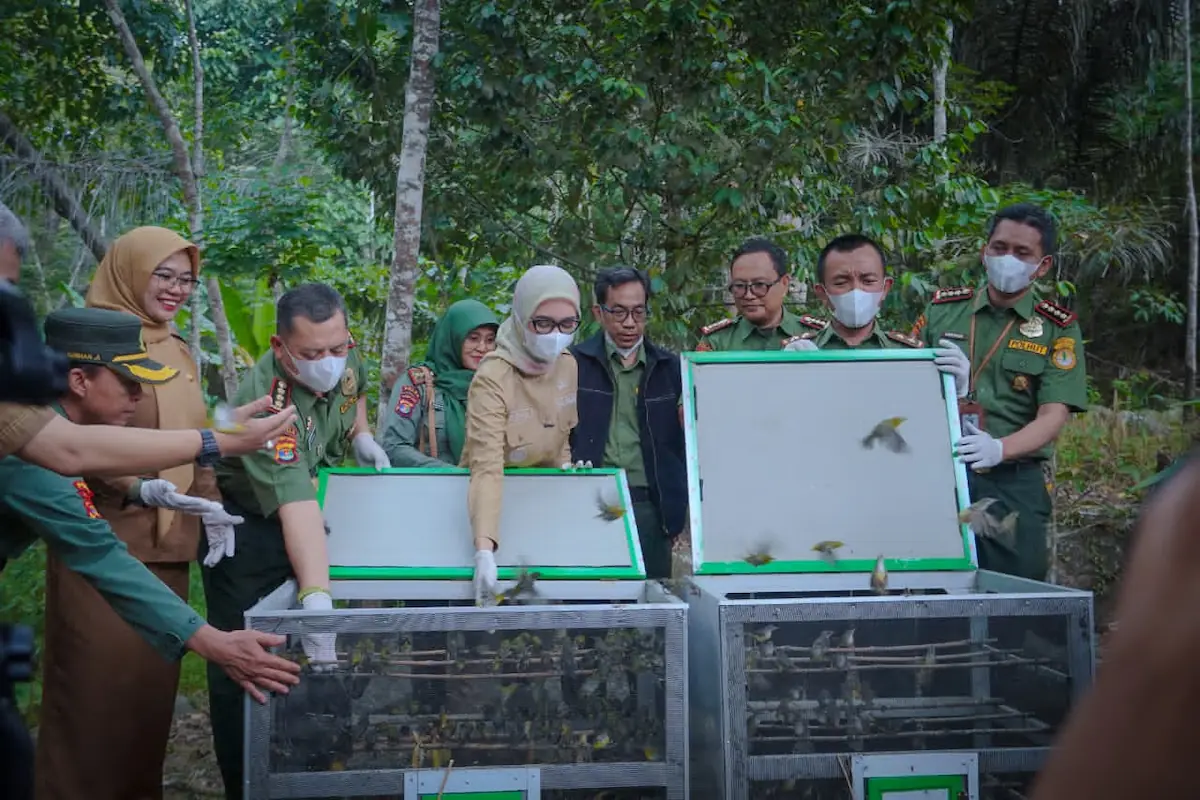 Wagub Lampung Jihan Nurlela turut melepasliarkan burung hasil rehabilitasi petugas KPH di Tahura Wan Abdul Rachman, Bandarlampung